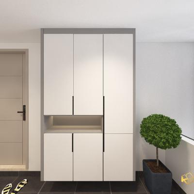 1.shoe Caabinet